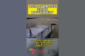 父亲给儿子演示放大镜聚光实验，实验成功了，两千平米草皮烧没了#放大镜聚光 #实验 #爸爸带娃 @浦东公安视频封面