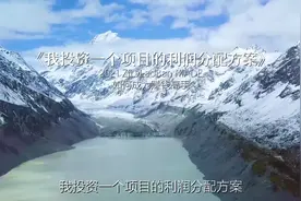 我投资一个项目的利润分配方案#赚钱思维 #商业思维 #老板思维视频封面