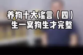 每只狗都生一窝，中国会有多少只狗？#科学养宠 #宝藏宠物研究所 #人人都是爱宠分享官 #狗狗的日常 #狗子视频封面
