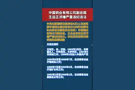中国铜业有限公司王运正涉嫌严重违纪违法，目前正在接受纪律审查和监察调查。视频封面
