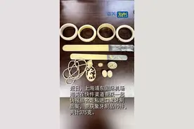 象牙饰品要不得视频封面