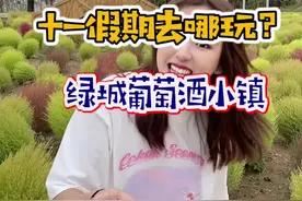 十一假期。葡萄酒小镇，你想来玩吗？#抖音心动餐厅 #十一#周末去哪玩视频封面