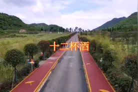 十二杯酒视频封面