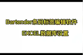 Bartender条码打印软件，数据库设置教程，简单易懂！
