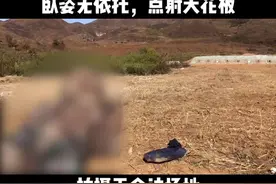 百米卧姿无依托点射胸靶，这个科目算命中发数的，是个坑了太多人的科目😄打这个靶子不要离的太近，旁边的容易飘过去还真以为是点上的，看不懂无依托三个字的兵王请回避！视频封面