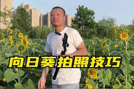用支架自拍技巧#向日葵花海 #拍摄技巧 #手机摄影 #摄影教学 #手机支架