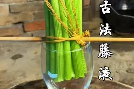书中曾有记载:将南瓜藤两头剪断，放入瓶中，让其滴下汁液，每日取之！#古法 #传统#农村生活视频封面