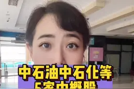 中石油、中石化等5家央企，集体宣布将从美股退市#中概股 #中概股回归 视频封面