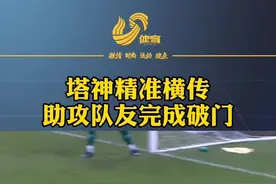 连线中超旧人胡尔克，塔尔德利巴西赛场传射建功！视频封面