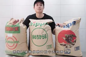 #面包 #烘焙 #测评 专业面包师带你测评日本中高端高筋面粉。视频封面