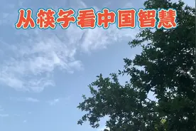一双筷子的含义视频封面