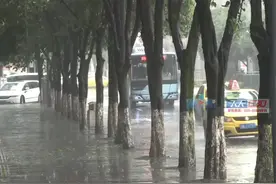 #重庆5月起进入汛期 近期持续降雨，五月底还会有一场大暴雨。#重庆dou知道视频封面