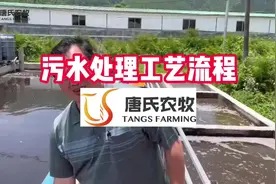 污水处理工艺流程#养猪 #粪污处理视频封面