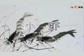 三年级语文下册第四单元课文15《小虾》同步视频朗读#小学语文视频封面
