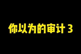 谁来翻译翻译：拒绝出具审计意见。#搞笑 #会计 #审计 视频封面