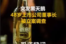 突发黑天鹅 48岁上市公司董事长被立案调查 #燕京啤酒 #赵晓东 #黑天鹅视频封面