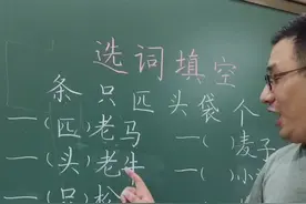 选择量词填空，你发现规律了吗？#学浪计划 #小学语文#期末复习 @DOU+小助手 @抖音短视频视频封面