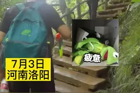 爸爸爬山抱不动孩子，游客要100元帮驮上山 最后70成交，妈妈：人家驮着娃还等着我们俩视频封面