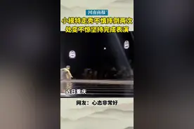 小模特走秀不慎摔倒两次，处变不惊坚持完成表演。视频封面