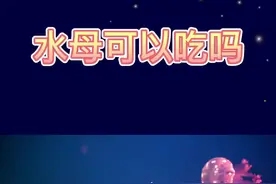 水母可以吃吗🤔快来#萌知计划 一起#抖出知识点 吧@抖音青少年视频封面