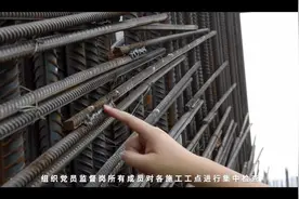 党员监督，质量先行#致敬劳动者 #我在岗位上 #安全生产视频封面