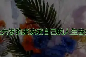 #相册记录生活 #怀旧童年视频封面