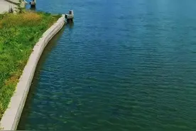 您觉得住在天津哪个区最舒服呢？#你好天津#你好天津网络短视频大赛 #天津河北区@抖音短视频 @DOU+小助手 视频封面