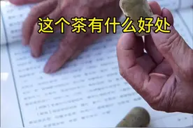 #化州橘红 有什好处，#化痰止咳 化州橘红有副作用及禁忌吗?#养生茶 三类人最宜化橘红#老慢支 #烟嗓 #烟酒嗓 