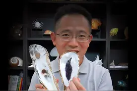 解密600年前用牡蛎盖的“蚝宅”#生蚝#科普 #大海的馈赠 #海上丝绸之路 #涨知识 #青少年教育 @抖音青少年 视频封面