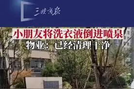 8月27日，江苏南京，小朋友把洗衣液倒进小区喷泉池里，猛一看以为下雪了！物业：已经清理干净了！视频封面