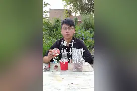 桃子吃完了，桃核不要扔，教你如何播种桃树，长大以后结的桃子又大又甜视频封面