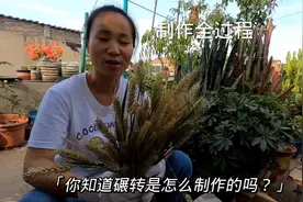 原来小麦碾转是这样制作的，新鲜的小麦脱粒去皮，石磨制作全过程视频封面