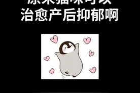虽然它不会讲话，但它的眼神和行为时时刻刻表达着它对我的爱#治愈猫咪 视频封面