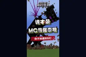 MC泰坦级别生物，第一名居然是它!!?#mc #我的世界 #游戏 