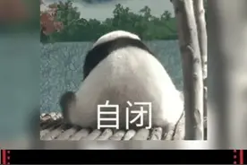 ＃潮人恐惧症，作为土狗的我懂这种感觉了~视频封面