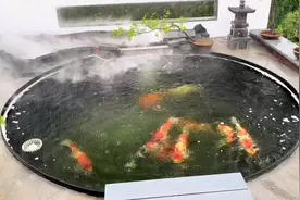 露台鱼池和屋顶鱼池注意事宜非常重要，减轻本身的自重视频封面
