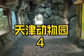 天津动物园4#乌龟#蟒蛇#蜥蜴#鳄鱼🐊#两栖爬行动物视频封面