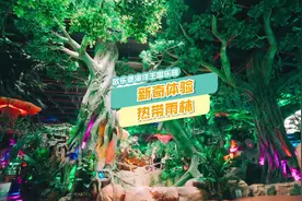 巨骨舌鱼有人见过吗？欧乐堡就有#泉州欧乐堡海洋王国乐园视频封面