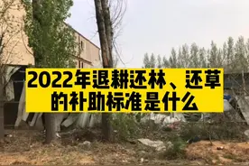 国家规定，2022年退耕还林、还草有补助，标准是这个#土地#还林视频封面
