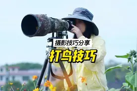 学会这5个拍摄技巧，你也可以轻松打鸟！《鸟类拍摄技巧分享》视频封面
