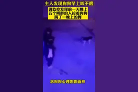 #搞笑 狗狗：喝酒的时候没叫我，耍酒疯的时候却没落下我。#狗狗视频封面