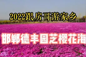 2022邯郸复兴区德丰园芝樱花海，简直太美了，由于疫情不开园视频封面