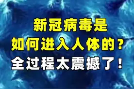 新冠病毒书如何进入人体的？全过程太震撼了！#科普 ##涨知识 #免疫细胞 #科普一下 #新冠病毒 