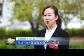 #陵川#好干部视频封面