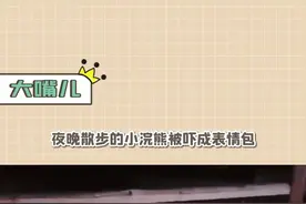 #小浣熊被吓成了表情包小浣熊：看不见我，看不见我，哈哈哈哈哈真的好可爱啊视频封面