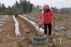 喜欢的人会给她千般呵护，守护她丶照顾她