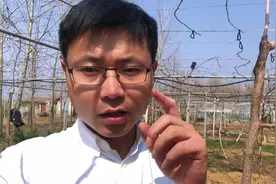 修剪最佳时间！修剪晚了有哪些危害！#河南软枣猕猴桃视频封面