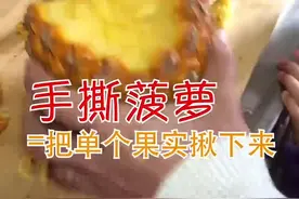 #dou出新知 #轻知识计划 #菠萝 上次有人问是不是所有菠萝都能手撕