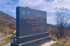 一夜巴山雨，千里大巴山，雨打芭蕉泪沾面，念君何日能复返视频封面