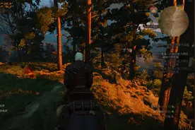 巫师3 搜集狼学派图纸5